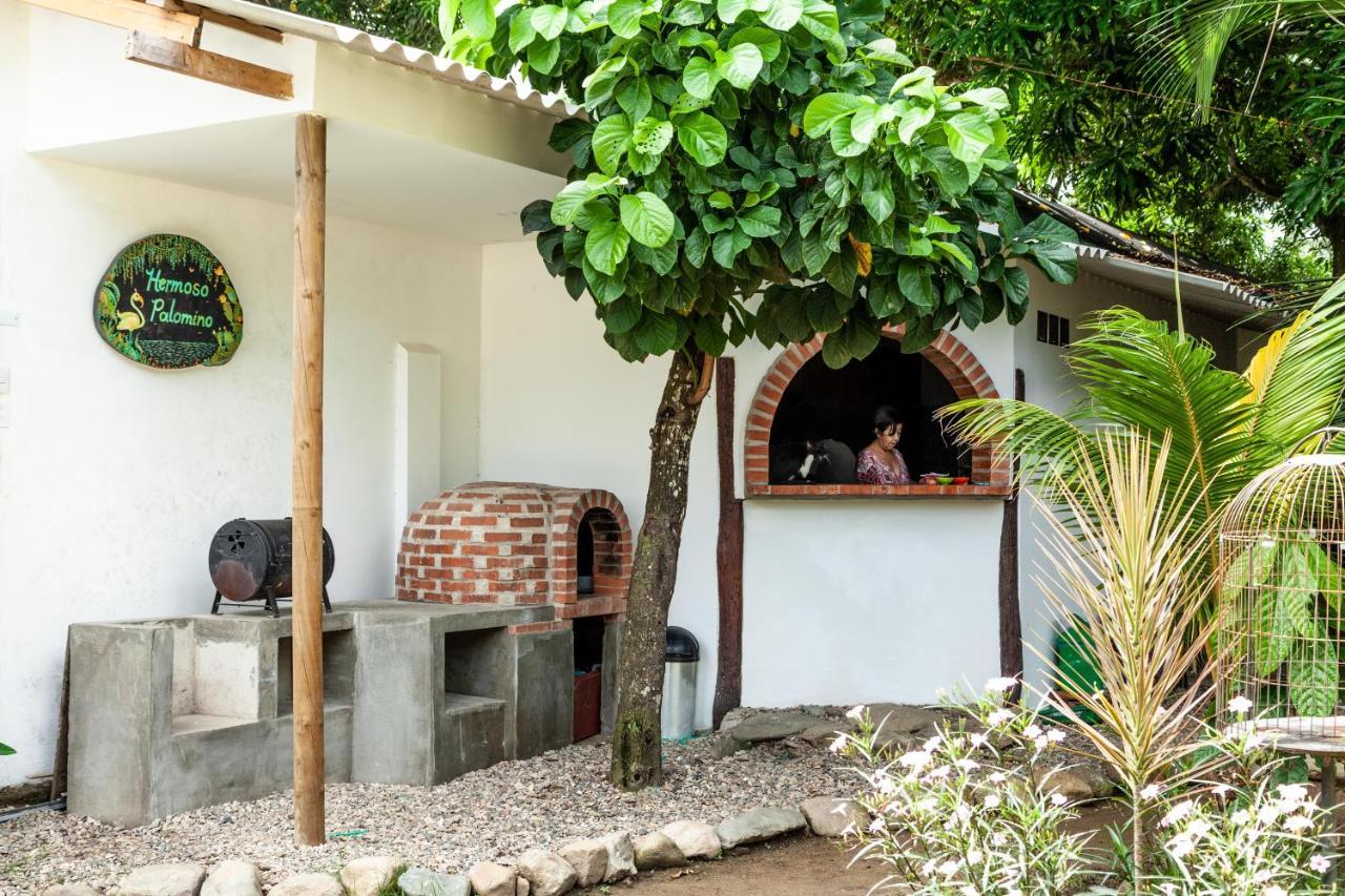 Hostal Hermoso Palomino Exteriér fotografie